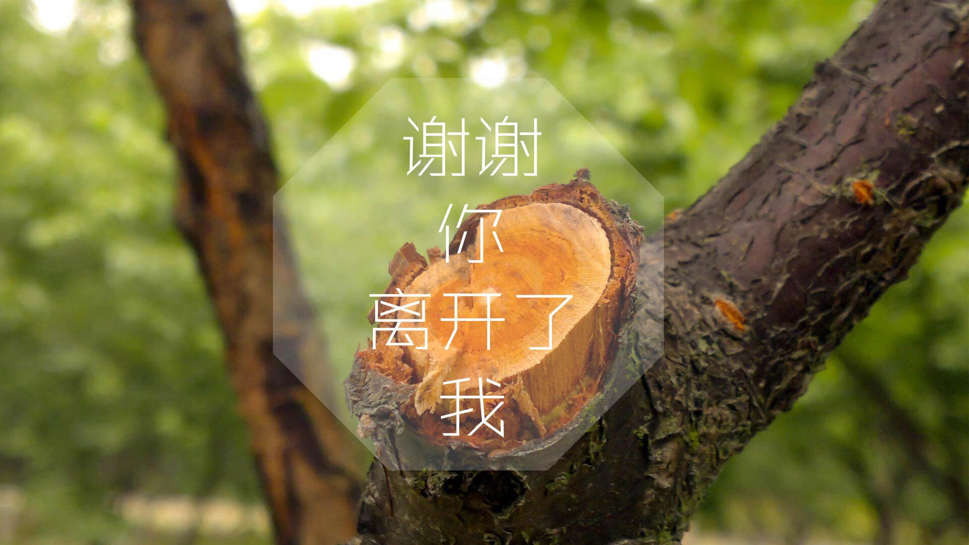 中国足球训练强度与伤情走势关联，中国足球水平如何