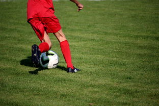 KAIYUN 中国大陆-意甲青训体系中融入情绪调节训练的效果评估，意甲青训体系中融入情绪调节训练的效果评估