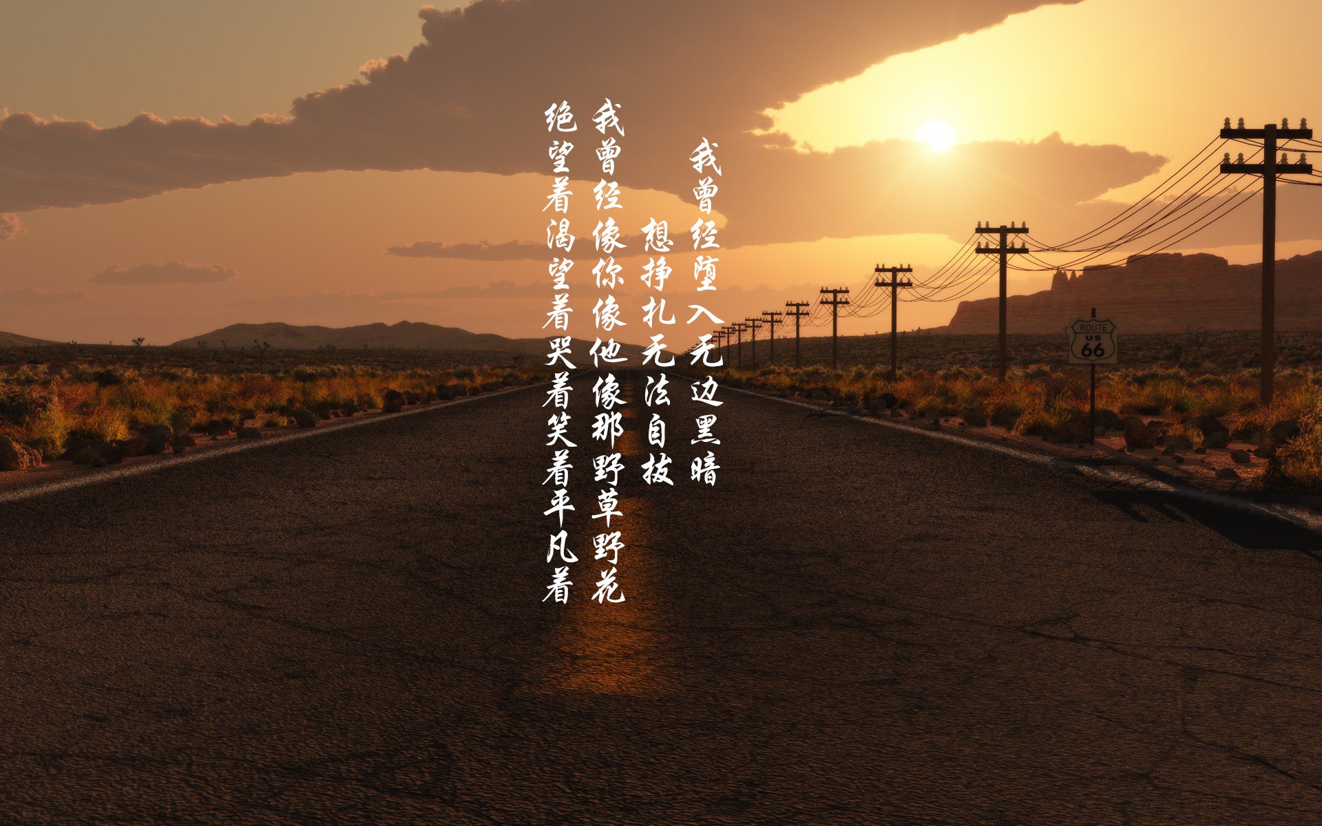 “龙泉驿东安湖体育公园：赛场热力四射，运动员激情无限”