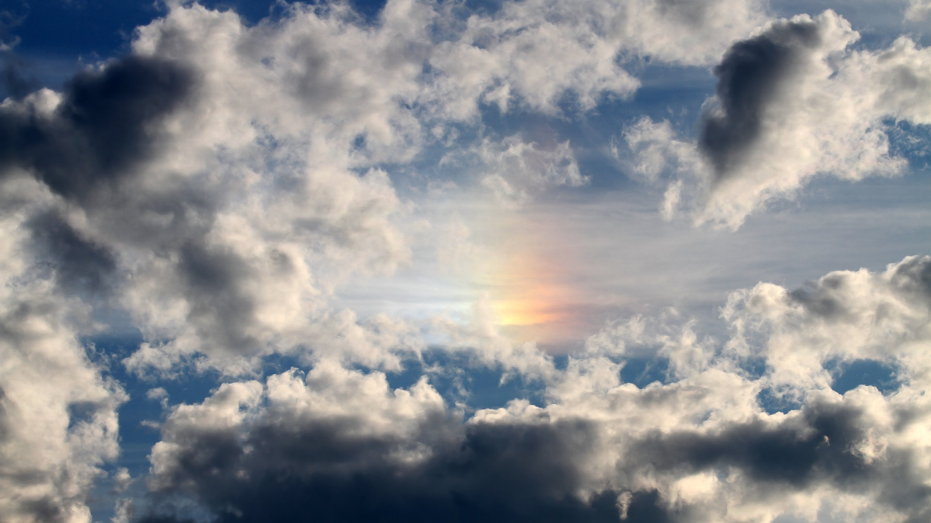 辽宁飞豹重整旗鼓誓夺新赛季冠军,辽宁飞豹cbdl