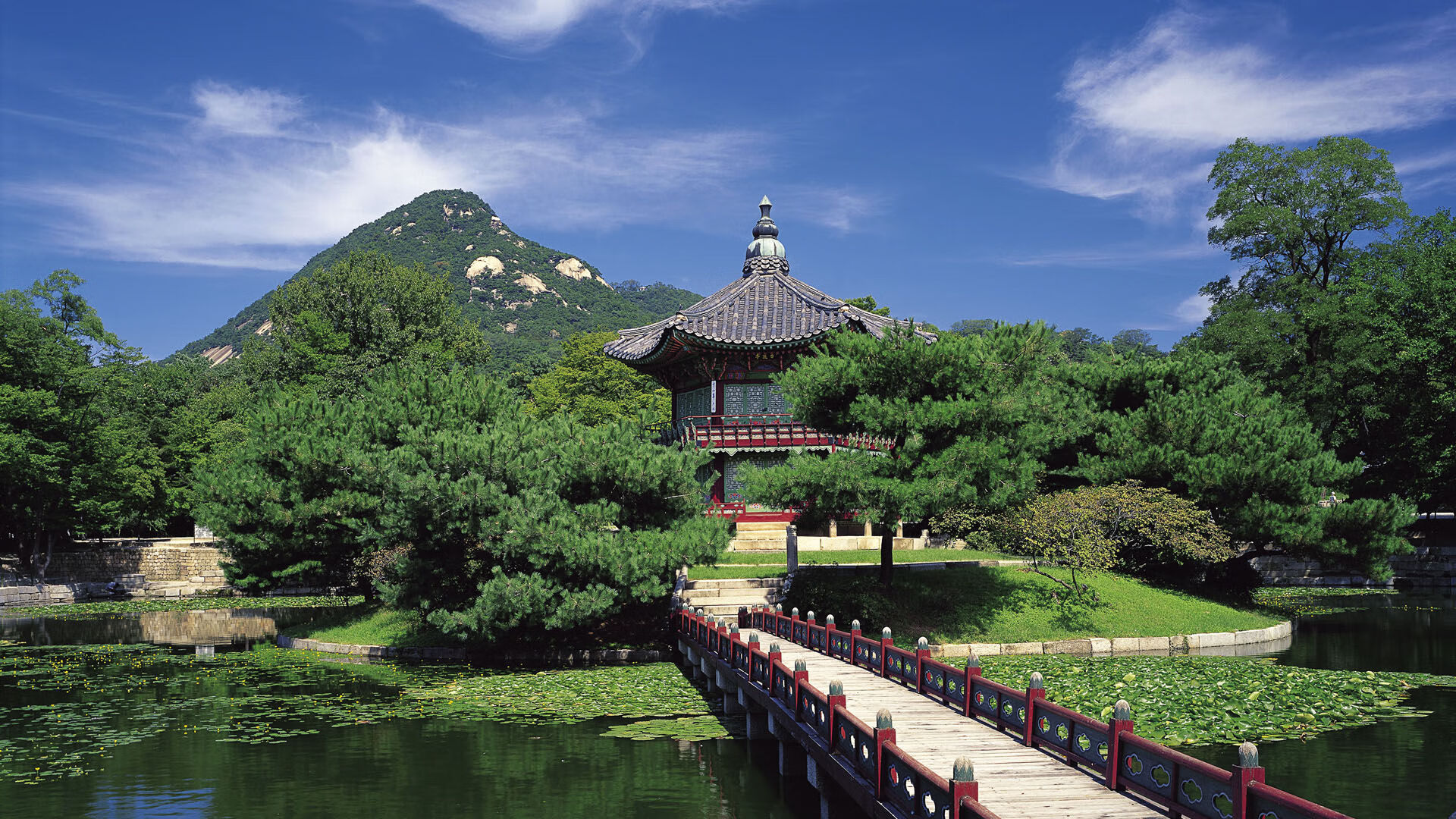 阿根廷队集体感染病毒 南美杯或延期,阿根廷南美冠军