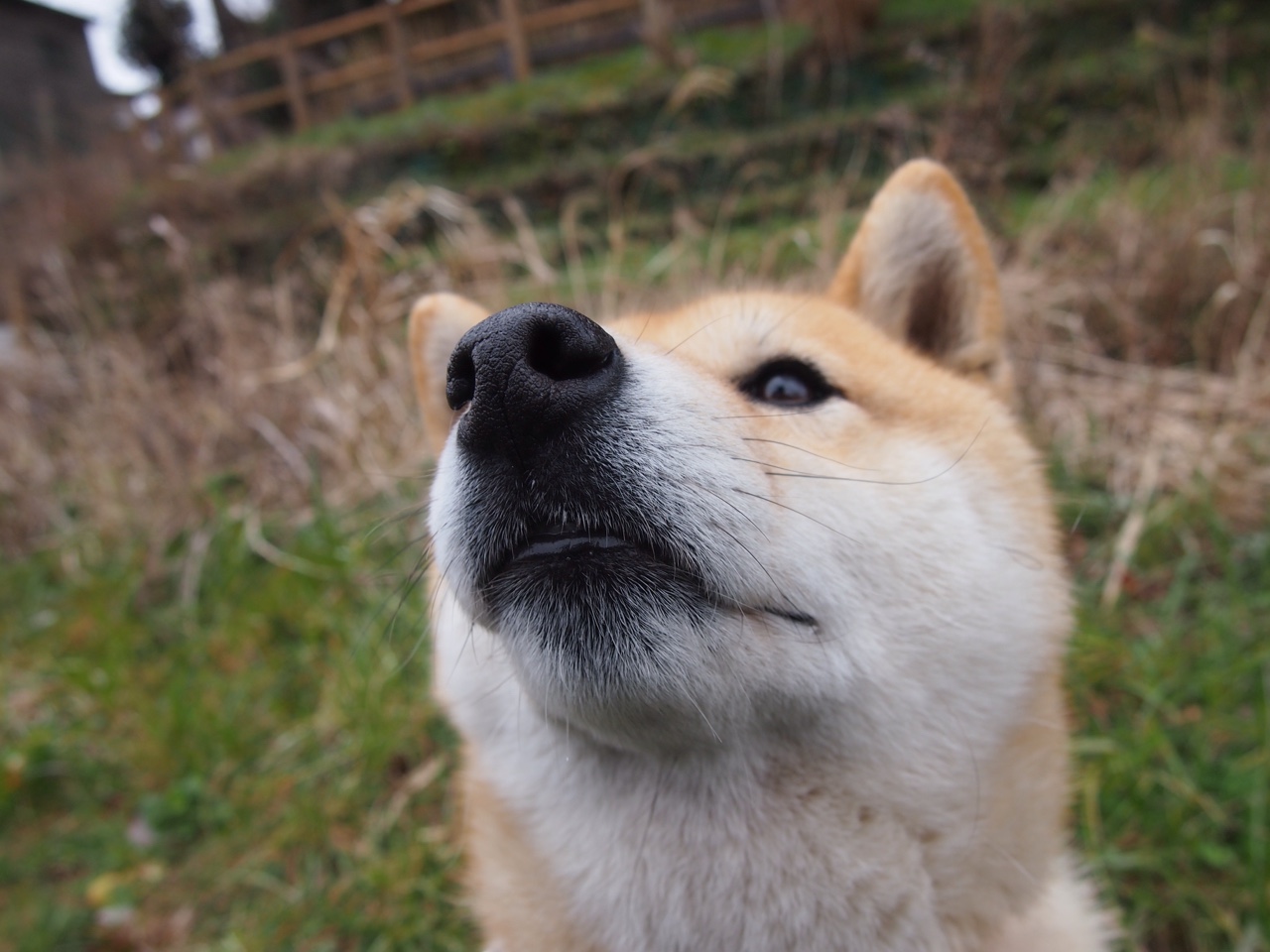 世界杯永恒瞬间：经典如一，值得收藏！，世界杯经典殿堂