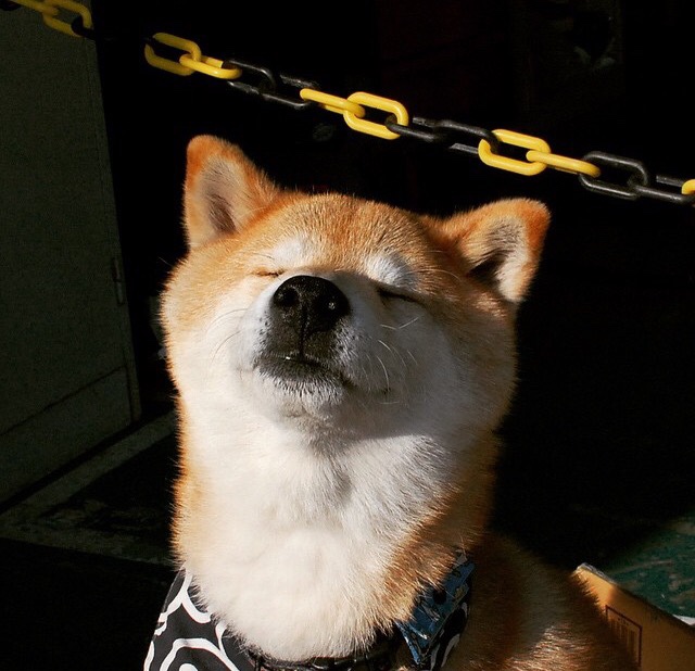 格鲁吉亚女篮在欧洲锦标赛中闪耀光芒，迈向新高峰，格鲁吉欧女王vs