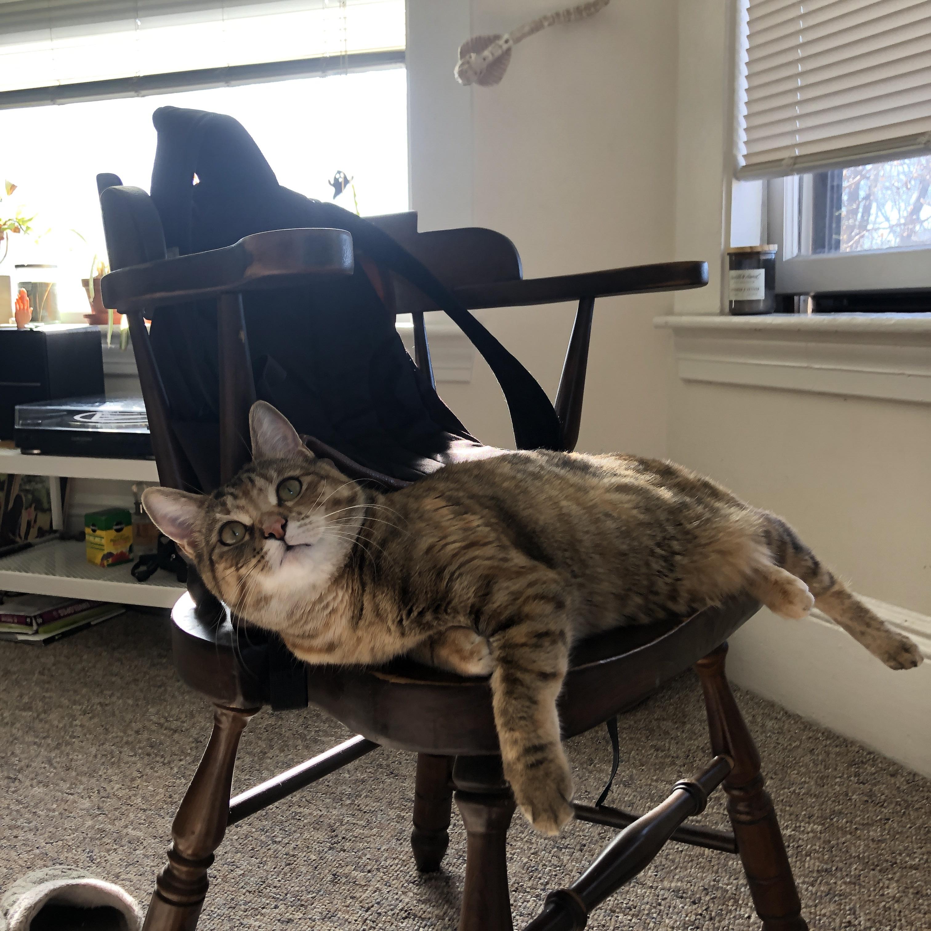 马刺新秀展现投篮手感赢得主场掌声，马刺队新秀