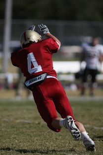 开云app客服-NBA球队战术板沟通模式对执行成功率的影响，篮球战术板画线